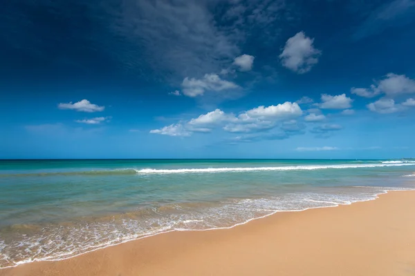 Krajina pláže na Srí Lance — Stock fotografie