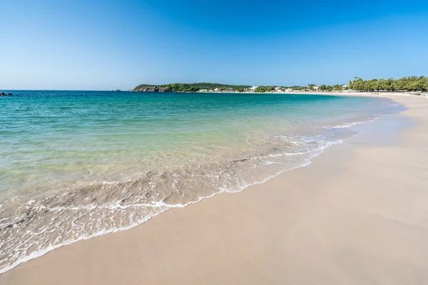 Strandlandschaft in sri lanka — Stockfoto