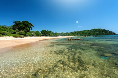 Sri Lanka 'da manzara