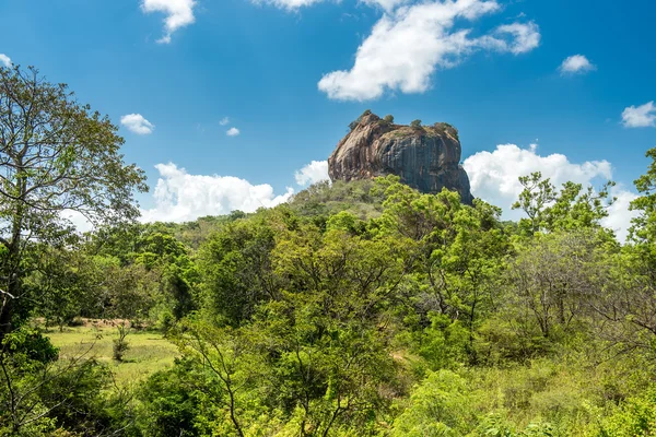 Sigiriya aslan kaya Kalesi — Stok fotoğraf