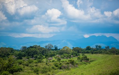 Himachal Pradesh, Manali, Hindistan