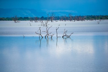 Sri Lanka Gölü