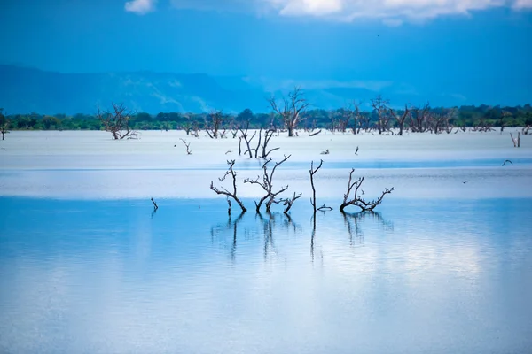 Lake  in sri lanka — Stock Photo, Image