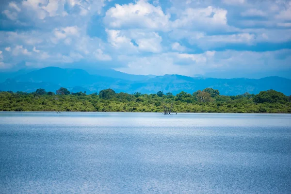 Озеро Шри-Ланки — стоковое фото