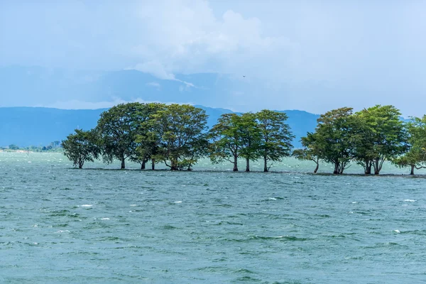 Jezioro krajobraz w sri lanka — Zdjęcie stockowe