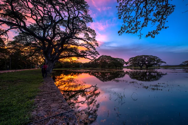 Sjön vid solnedgången i srilanka — Stockfoto