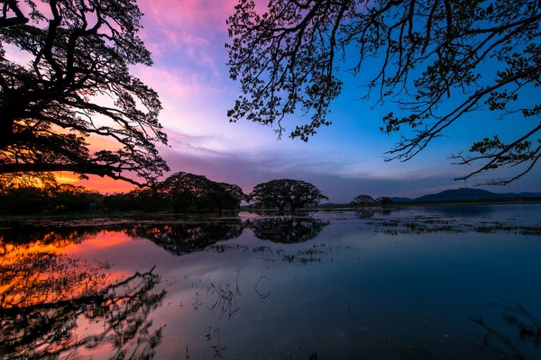 Sjön vid solnedgången i srilanka — Stockfoto