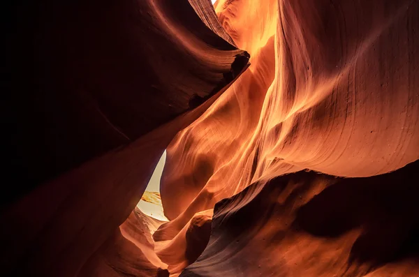 Αντιλόπη φαράγγι στο Grand canyon — Φωτογραφία Αρχείου