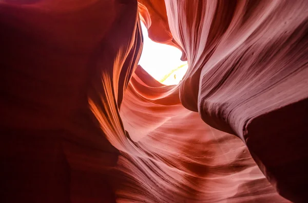 Αντιλόπη φαράγγι στο Grand canyon — Φωτογραφία Αρχείου