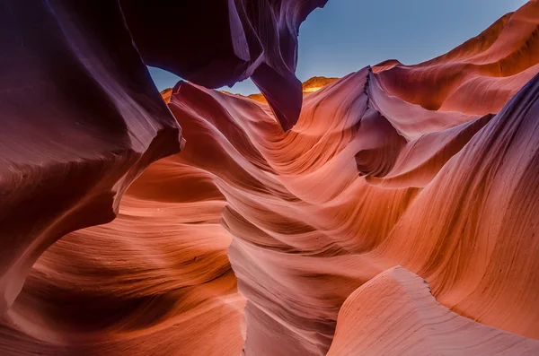 Αντιλόπη φαράγγι στο Grand canyon — Φωτογραφία Αρχείου