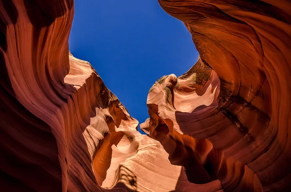 Antelope canyon in Grand canyon — Stock Photo, Image