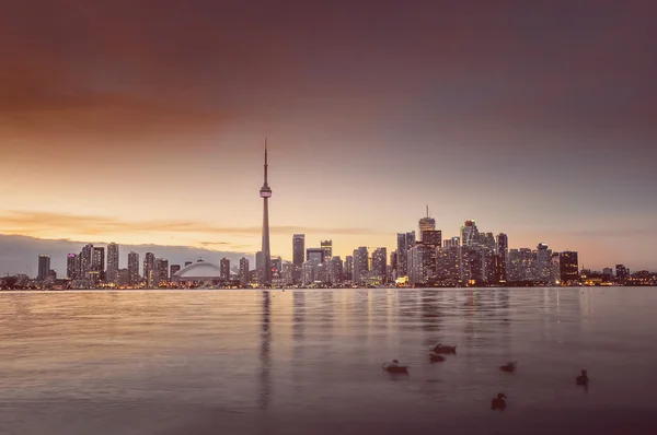 Toronto skyline, kanada — Stockfoto