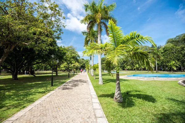 Wunderschöne Landschaft im viharamahadevi Park — Stockfoto