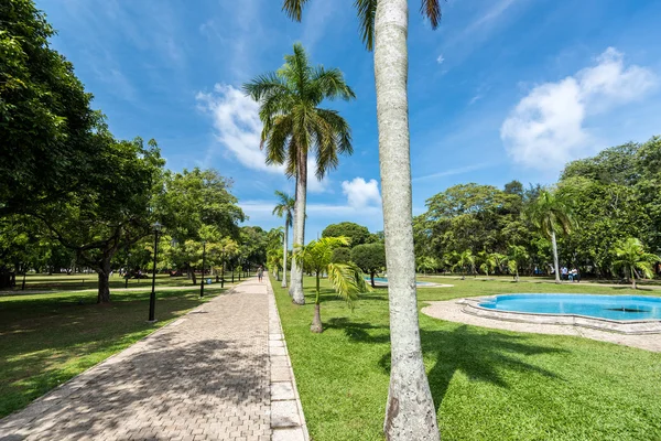 Wunderschöne Landschaft im viharamahadevi Park — Stockfoto