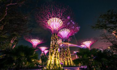 Sahil kenarındaki bahçeler, Singapur