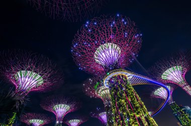 Sahil kenarındaki bahçeler, Singapur