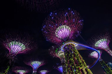 Sahil kenarındaki bahçeler, Singapur