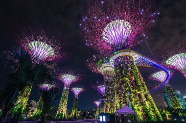 Sahil kenarındaki bahçeler, Singapur