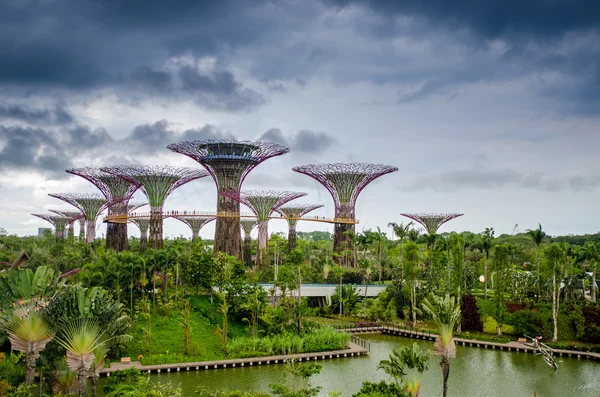 Jardines junto a la Bahía, Singapur —  Fotos de Stock