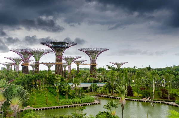 Jardines junto a la Bahía, Singapur —  Fotos de Stock