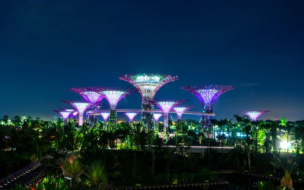 Trädgårdar vid bukten, Singapore — Stockfoto