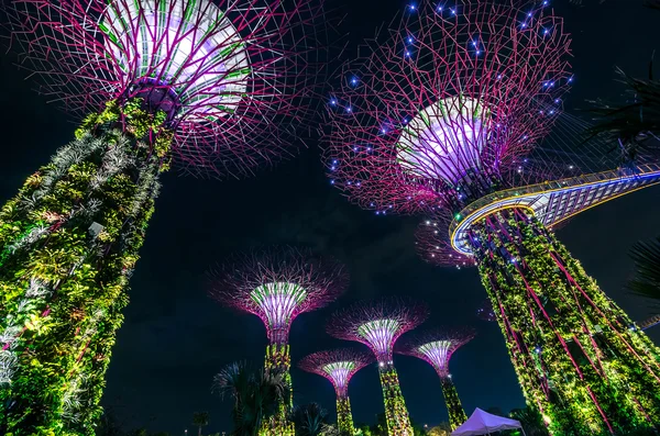 Gardens by the Bay, Сингапур — стоковое фото