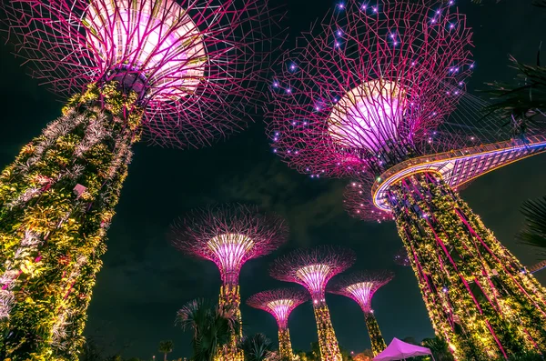 Jardines junto a la Bahía, Singapur — Foto de Stock