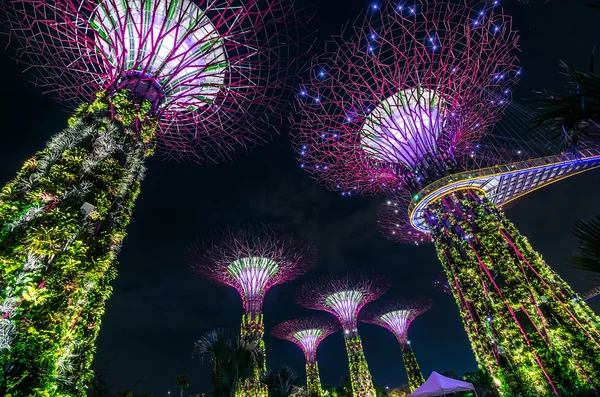 Trädgårdar vid bukten, Singapore — Stockfoto