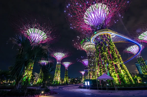 Jardines junto a la Bahía, Singapur — Foto de Stock