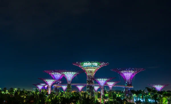 Ogrody nad zatoką, Singapur — Zdjęcie stockowe