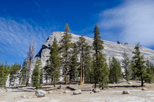 Hermoso paisaje en California —  Fotos de Stock