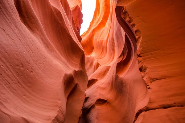 Antelope canyon nel Grand canyon — Foto Stock