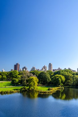 Central park manzaralı