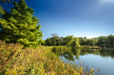 New York 'taki Central Park