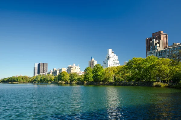 Центральный парк с видом на Манхэттен — стоковое фото