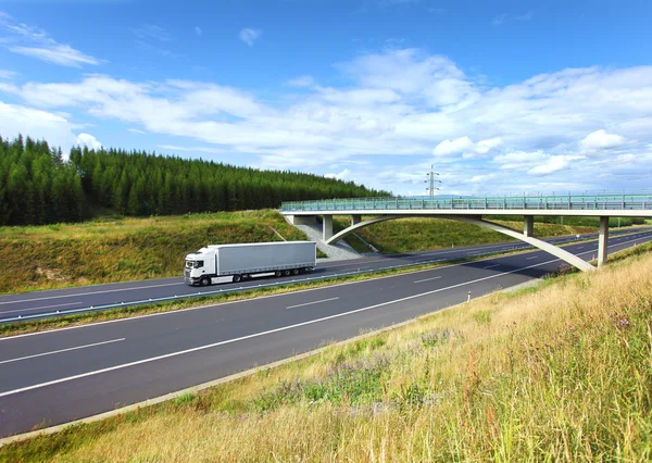 Vrachtwagen op de weg — Stockfoto