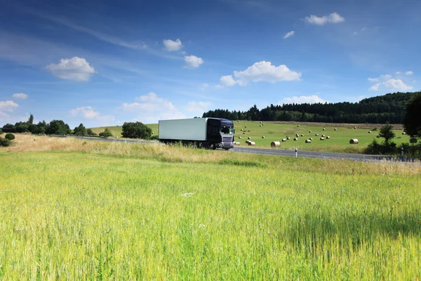Transporte do caminhão na estrada e na paisagem Imagens Royalty-Free
