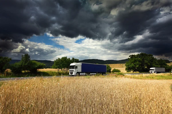 Truck transportation on the road and corn — Stock Photo, Image