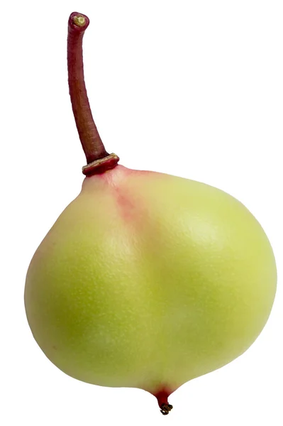 Giovane frutta verde — Foto Stock