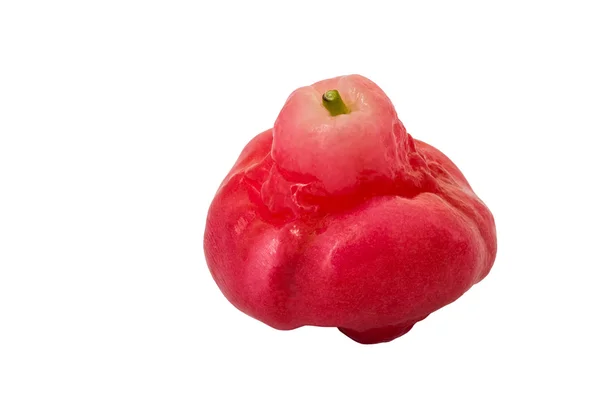 Rose apple gyümölcs — Stock Fotó