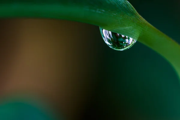 Clear water drop — Stock Photo, Image