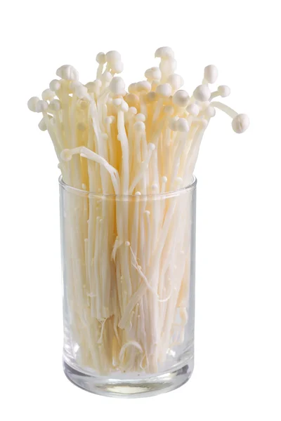 Cogumelo Enokitake Imagem De Stock