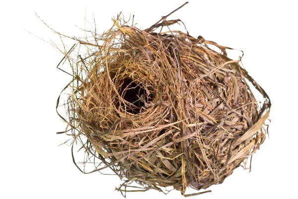 Bird 's nest — Stock Photo, Image