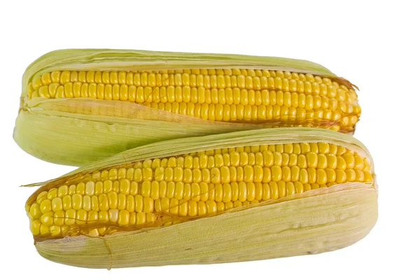 Ruwe Corns — Stockfoto