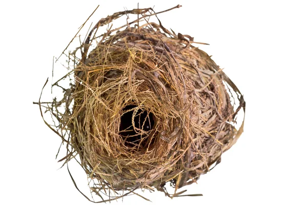 Bird 's nest — Stock Photo, Image