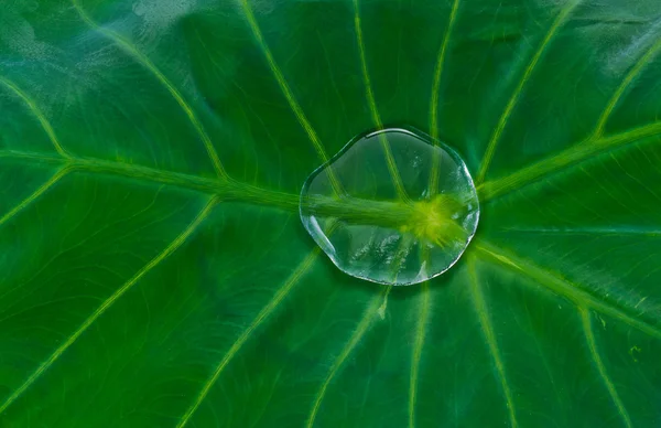 Natura Terra profonda — Foto Stock