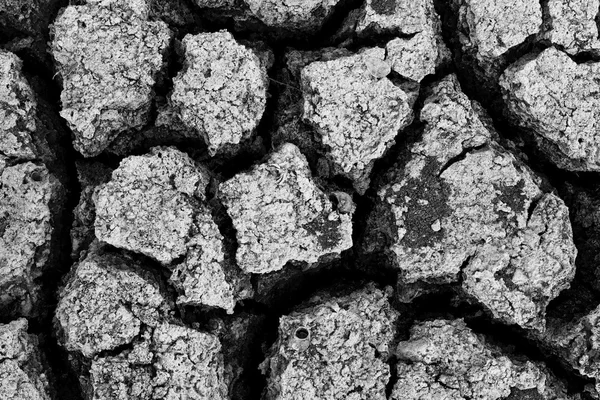 Drought — Stock Photo, Image