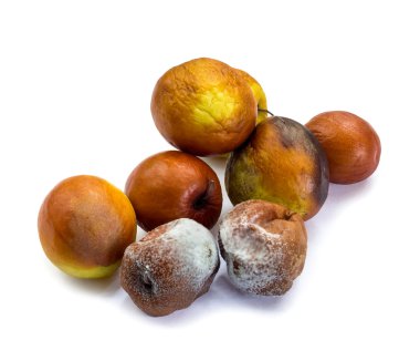 'Mounkey elma' meyve