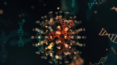 Mikrop kapmış organizmanın içindeki Coronavirus 2019-nCov patojeni siyah zemin üzerinde mavi renkli yuvarlak hücreler olarak sunuluyor. 2019-nCoV, SARS, H1N1, MERS ve diğer salgın virüsler konsepti. 4K içinde 3D görüntüleme.