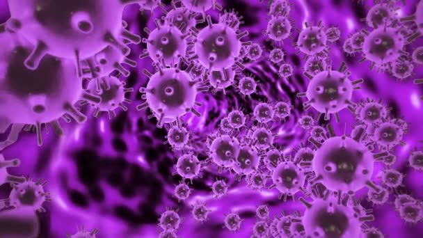 Citra CGI dari coronavirus COVID-19 juga dikenal sebagai 2019-nCov dan pertama kali dilaporkan di Wuhan, Tiongkok. Sel virus berwarna Violet mengambang di latar belakang ruang hitam. Konsep render 3d abstrak dalam 4K — Stok Video